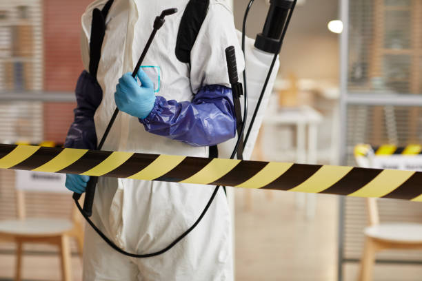 Professional Hoarding Cleanup technician working in Falmouth, ME